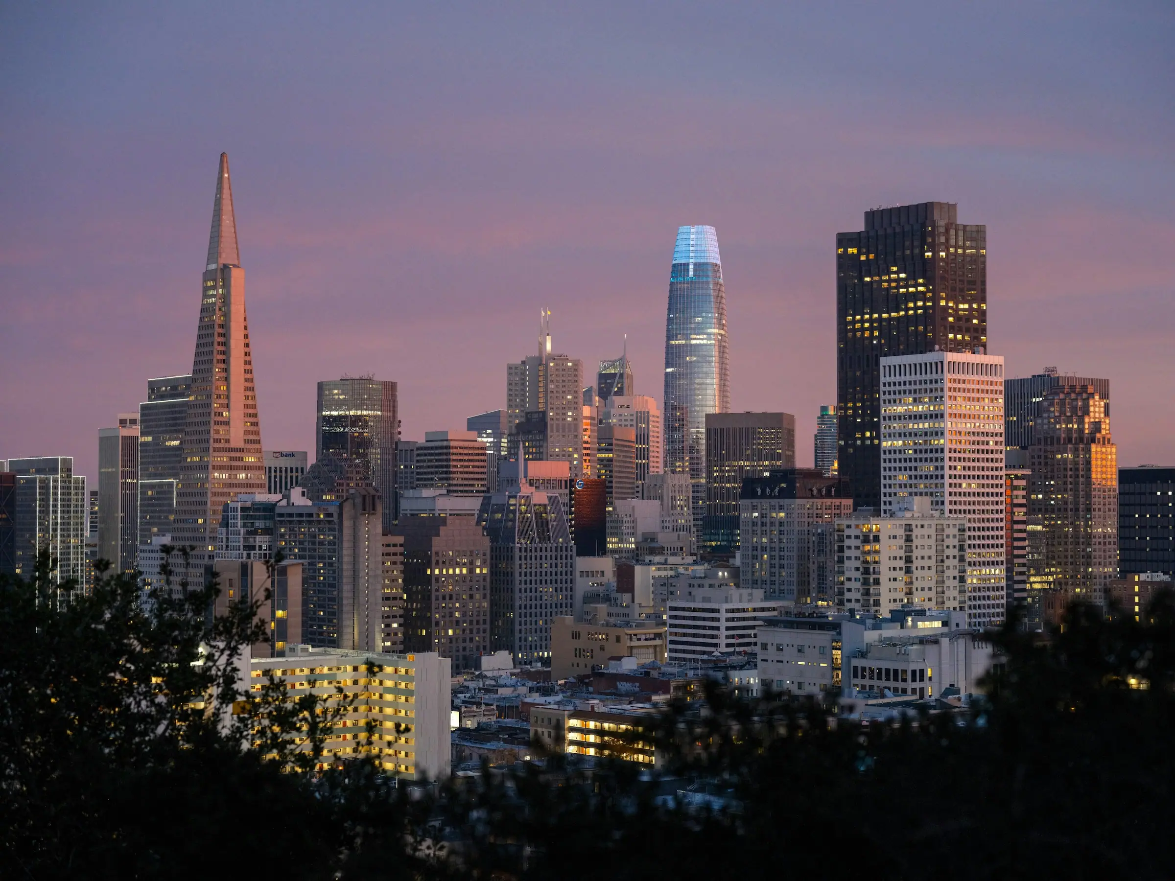 Downtown towers, including the Transamerica Pyramid and Salesforce Tower, under a pink dusk sky above the trees